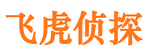 托克托私家调查公司